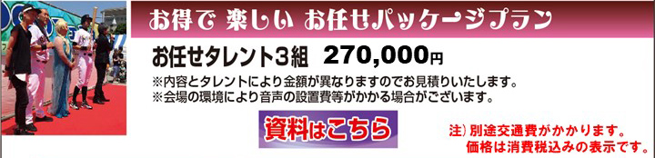 料金プラン お任せタレント3組